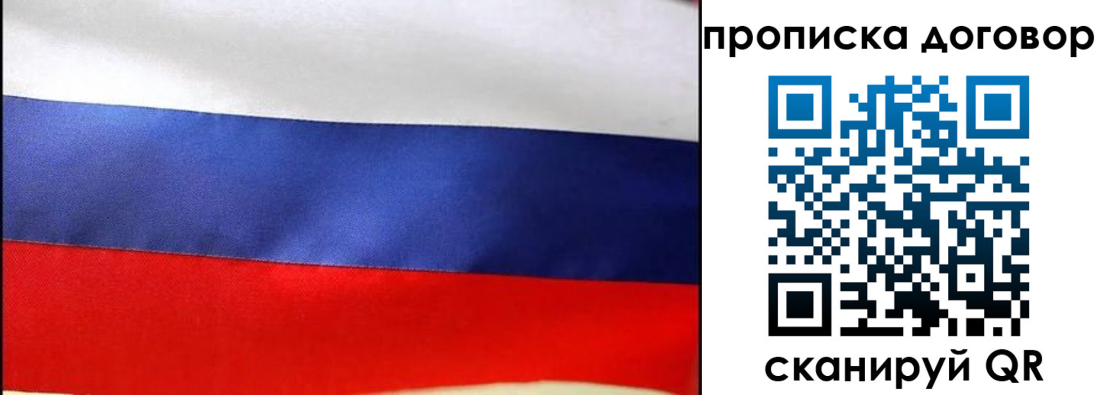 прописка гарантия в Жирновске